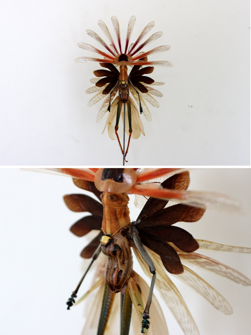 Illustration for article titled The Most Majestic Fairy Sculptures We've Seen Are Made Out Of Insects
